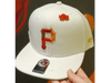 Plana 22 P
