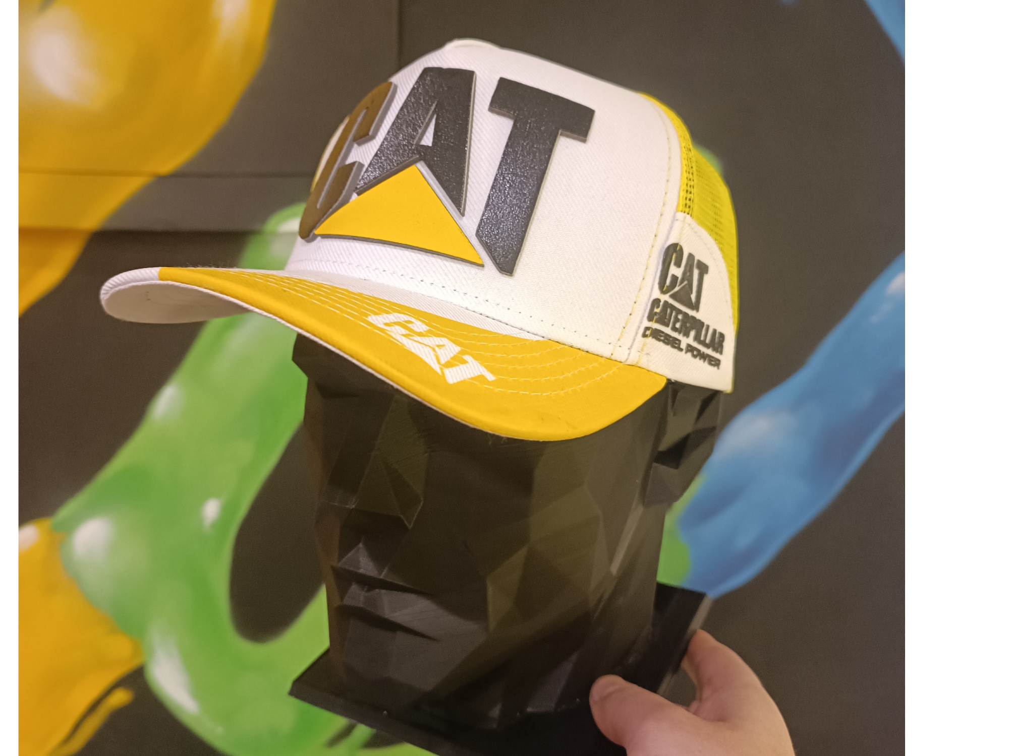 Cat 3