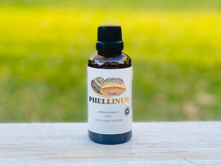 Phellinus 50 ml