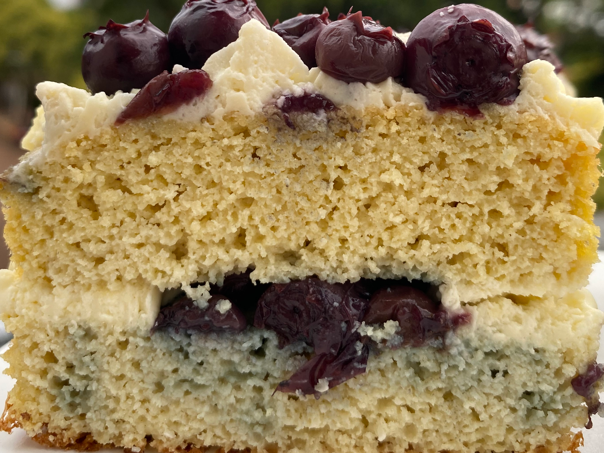 Torta crema y arándanos