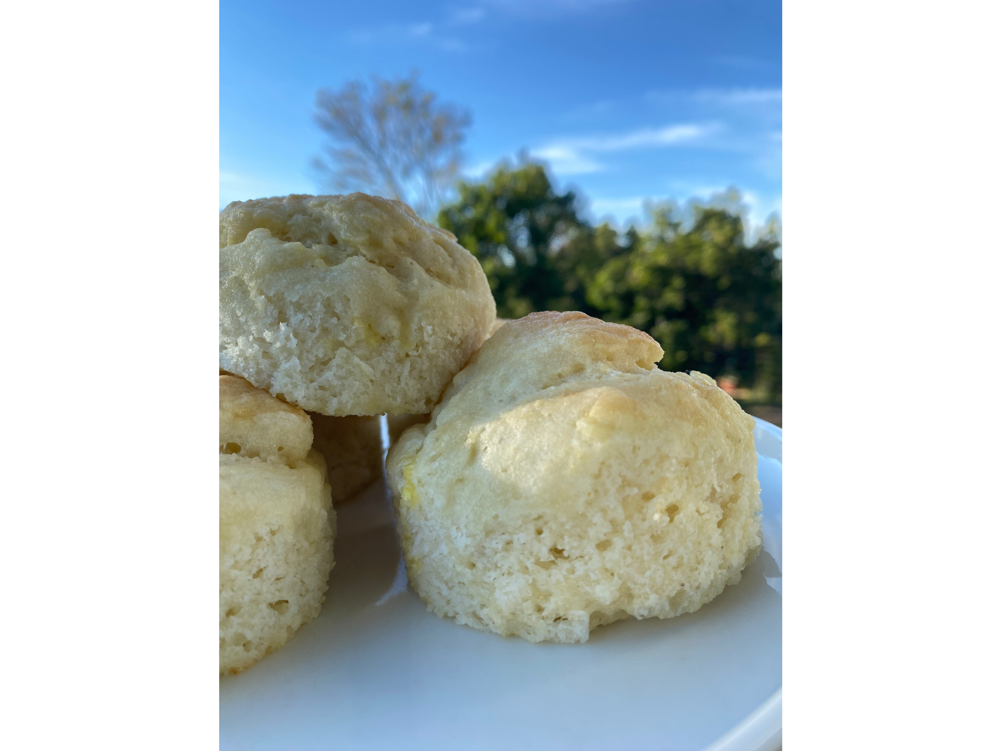 Pan de arroz *6