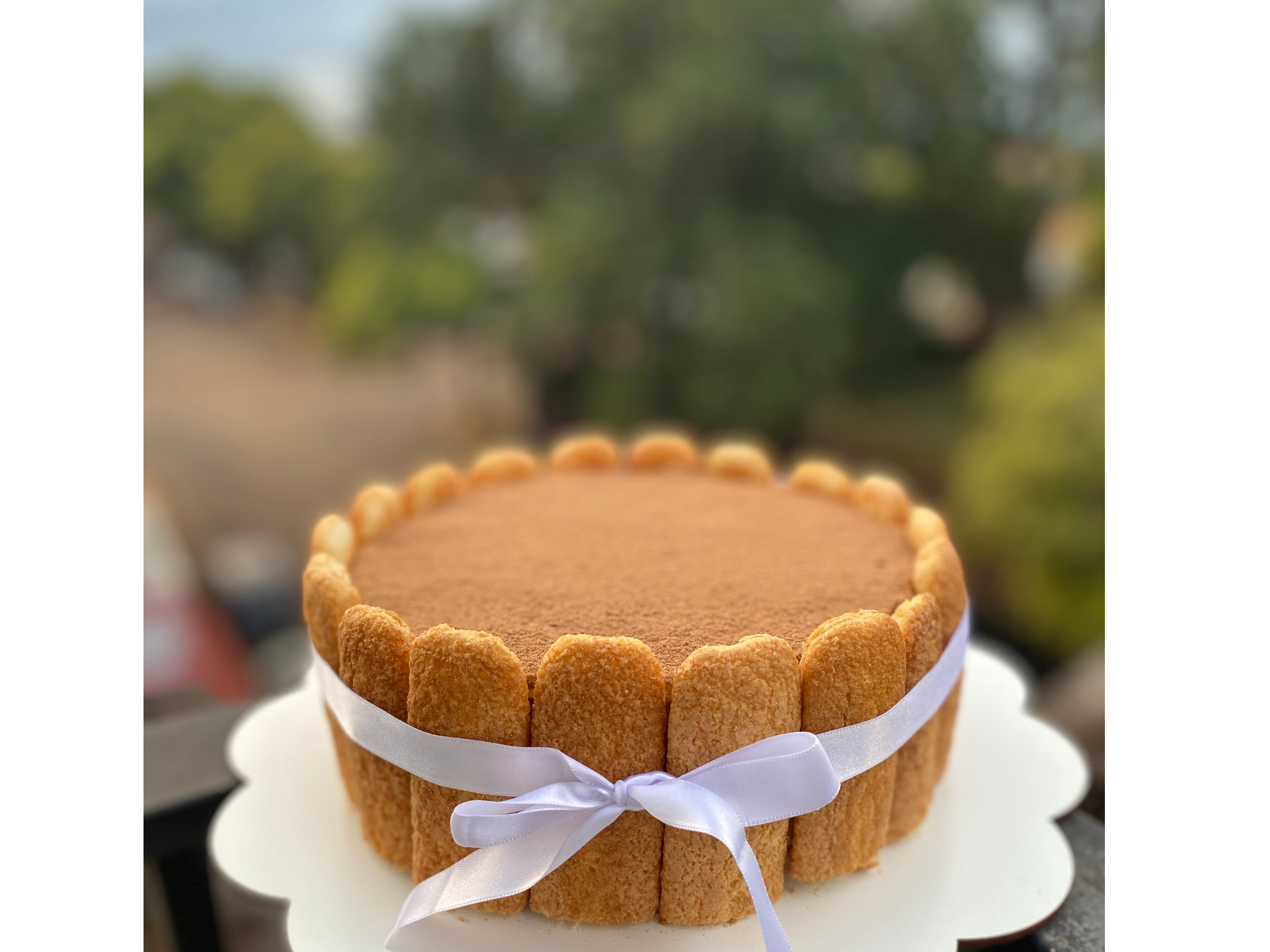 Tiramisú de Equilibrio comidas