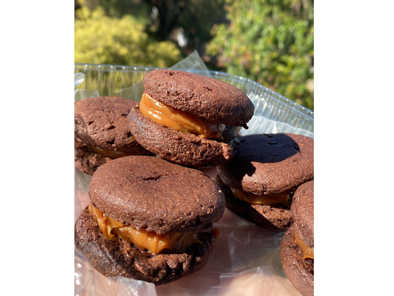 Alfajores de algarroba *6