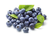 ARANDANOS
