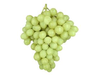 UVA BLANCA