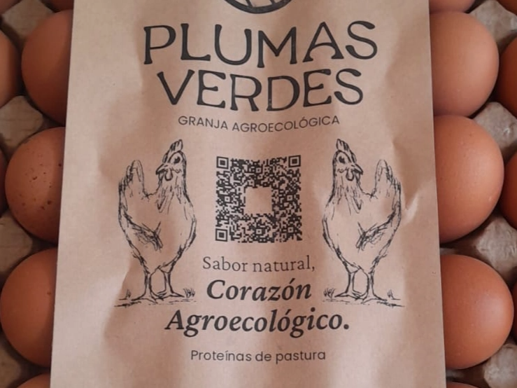 HUEVOS GALLINAS LIBRES DE JAULA