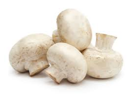 CHAMPIGNON