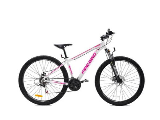 Bicicleta Rod 29 Fire bird