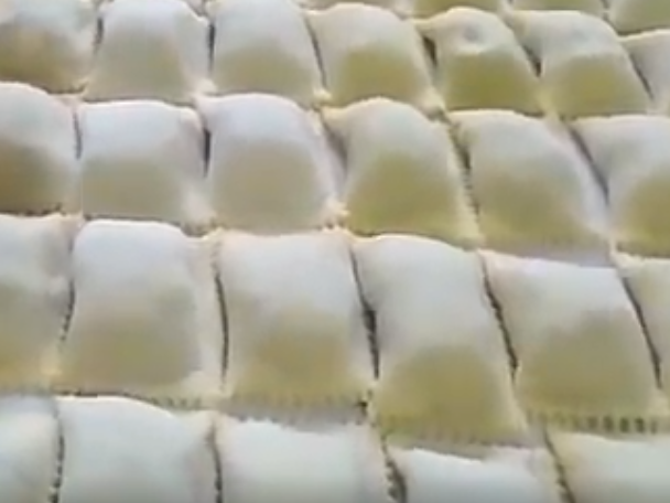 RAVIOLES ARTESANALES RELLENOS DE CARNE Y VERDURA