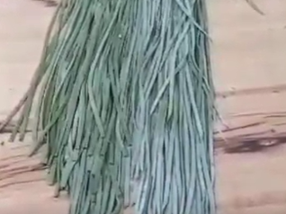 TALLARINES DE ESPINACA