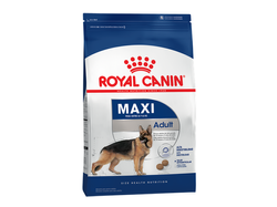 Royal Maxi Adulto
