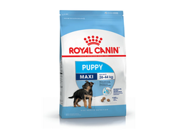Royal Canin Maxi Puppy