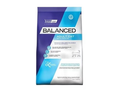 Balanced Gato Adulto