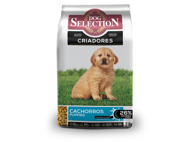 Dog Selection Cachorro Criadores 21kg