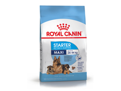Royal Canin Starter Maxi 10kg