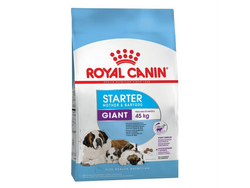 Royal Canin Starter Giant 10kg