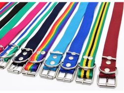 Collar Nylon BullDog