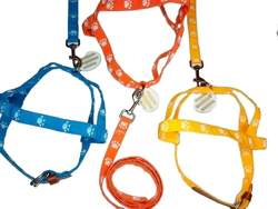 Conjunto Pretal y Correa de Nylon