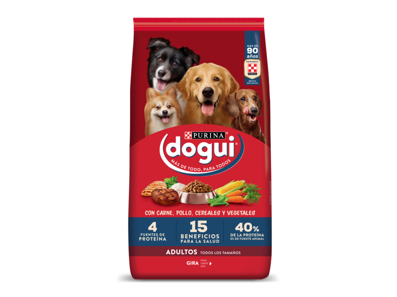 Dogui Adulto 21kg