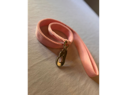 Correas Reforzadas Bulldog