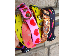 Collar Martingale Sublimado Regulable Bulldog