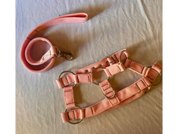 COMBO PASEO REFORZADO