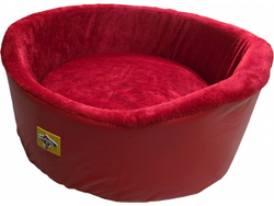 Moises Cuerina y Polar Blondi