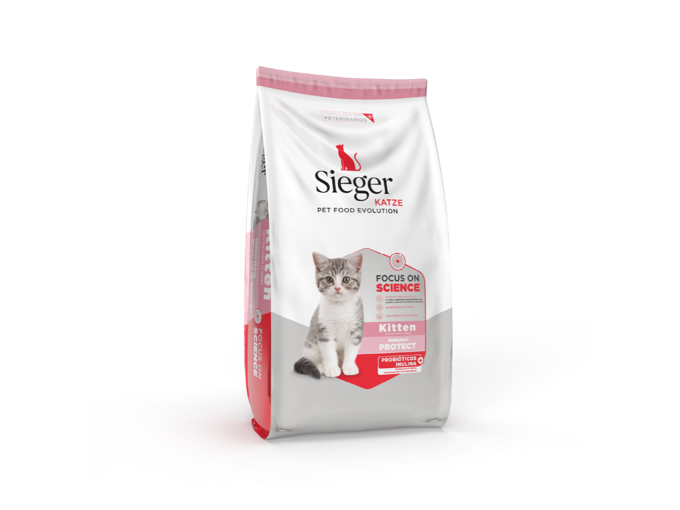 Sieger Katze  Kitten