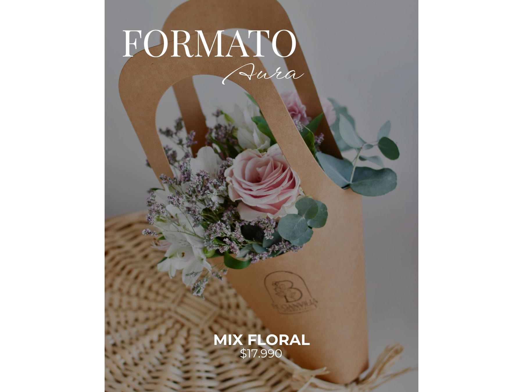 Formato cartera