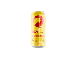 Cerveza Skol 473cc