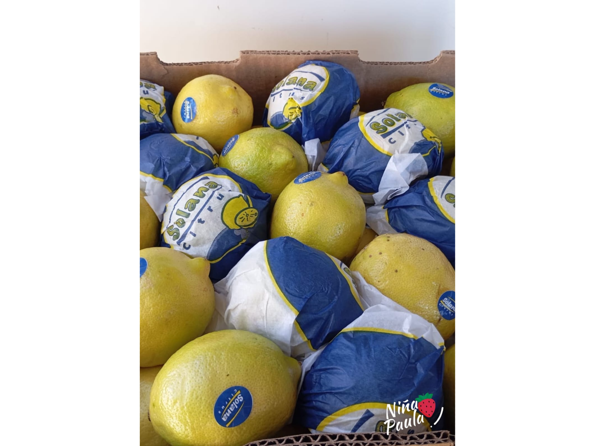 Limón