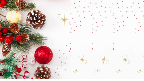 PROMOCIONES NOVIEMBRE - DICIEMBRE