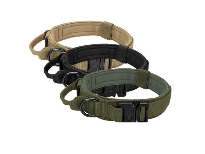 COLLAR DE ENTRENAMIENTO VOLT