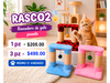 RASCADERO DE GATO PUENTE FLANEL E IZTLE