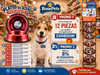 PLATO DE ACERO COLOR SUNNY