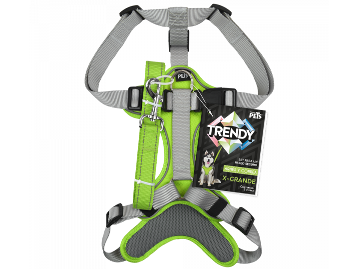 SET ARNES Y CORREA TRENDY XGRANDE