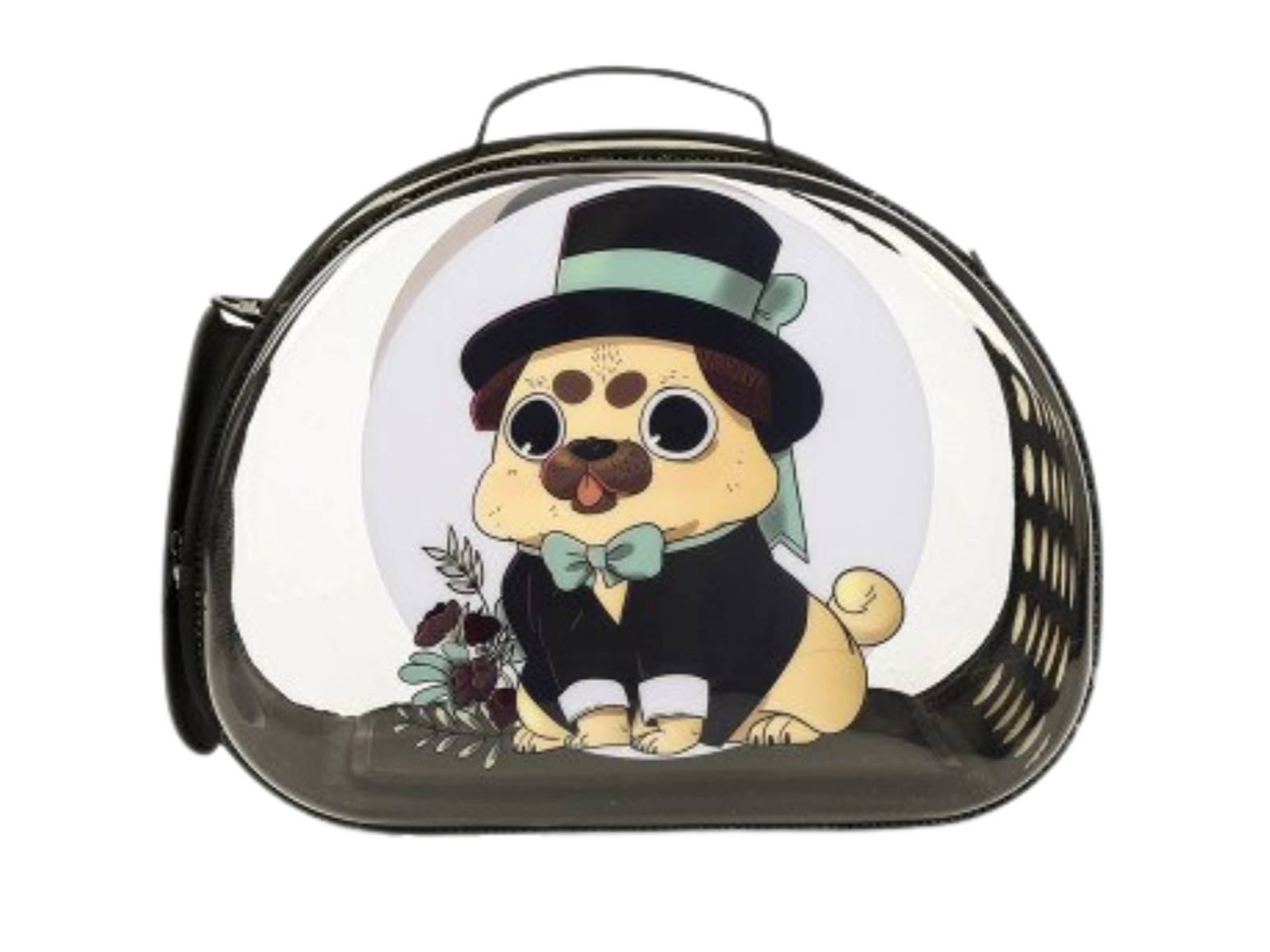 MALETA TRANSPORTADORA TRANSPARENTE COLORES