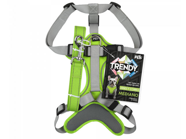 SET ARNES Y CORREA TRENDY MEDIANO