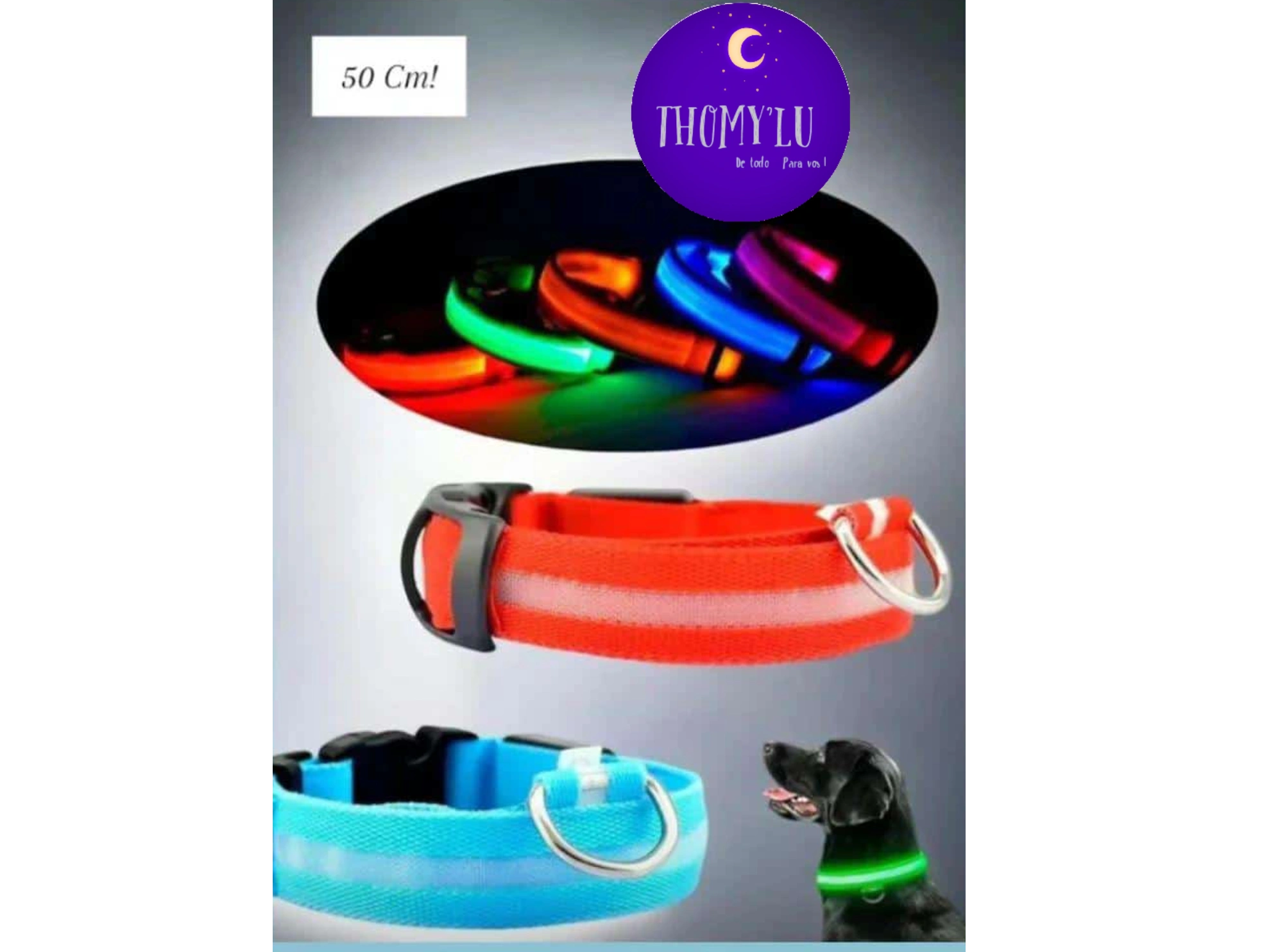 COLLAR LED PARA PERROS