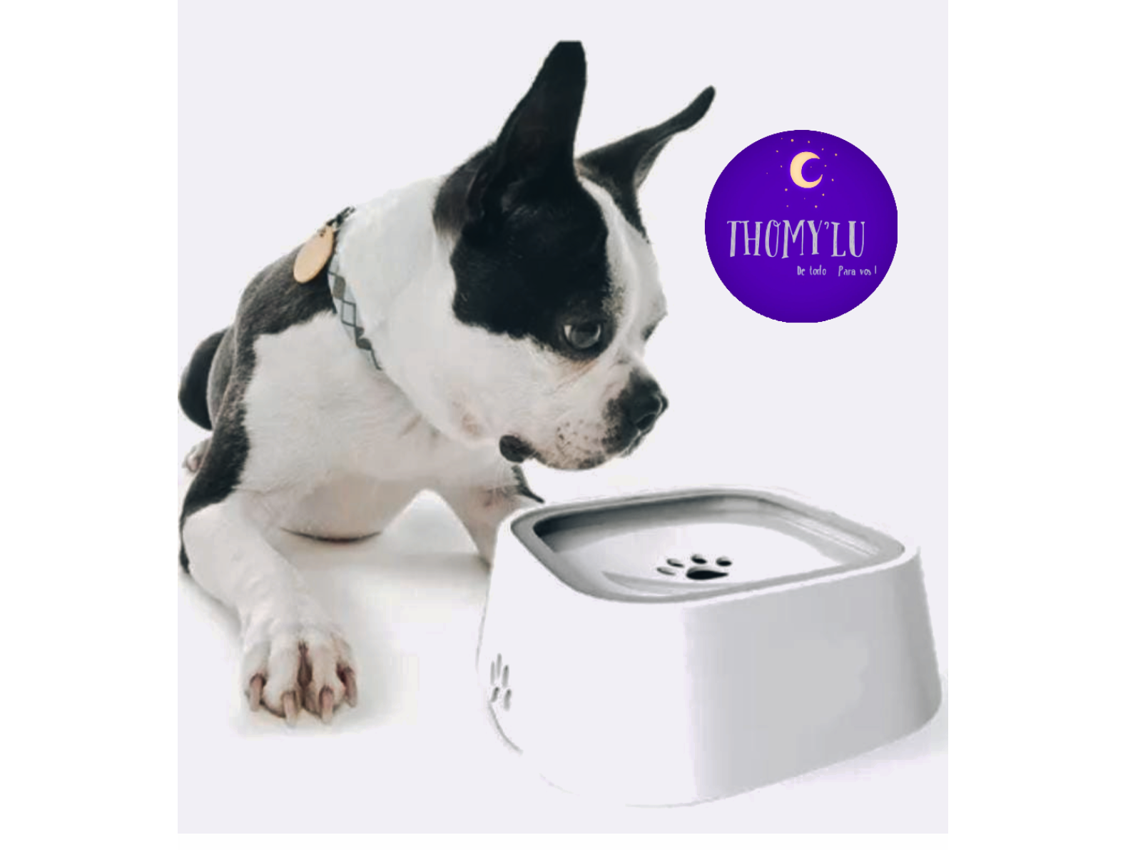 BEBEDERO ANTI SALPICADURAS