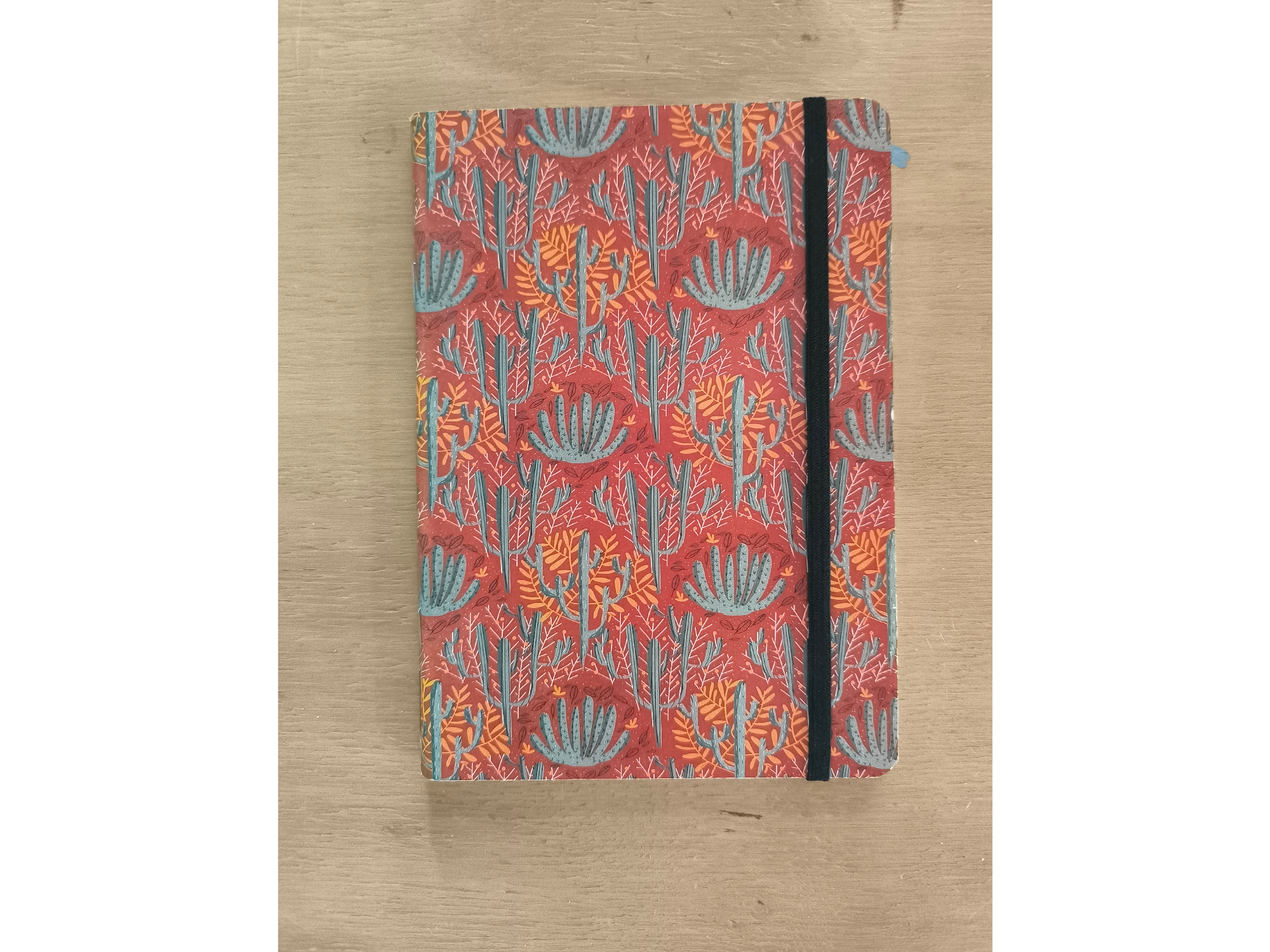 libreta  ilustrada  cactus