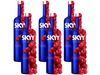06 Skyy Frambuesa 750 ML