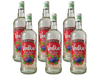 06 New Style Frutos Rojos 1000 ML (Caja cerrada)