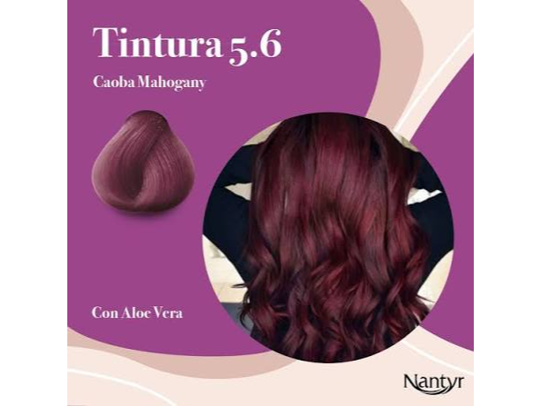 tono 5.6 caoba