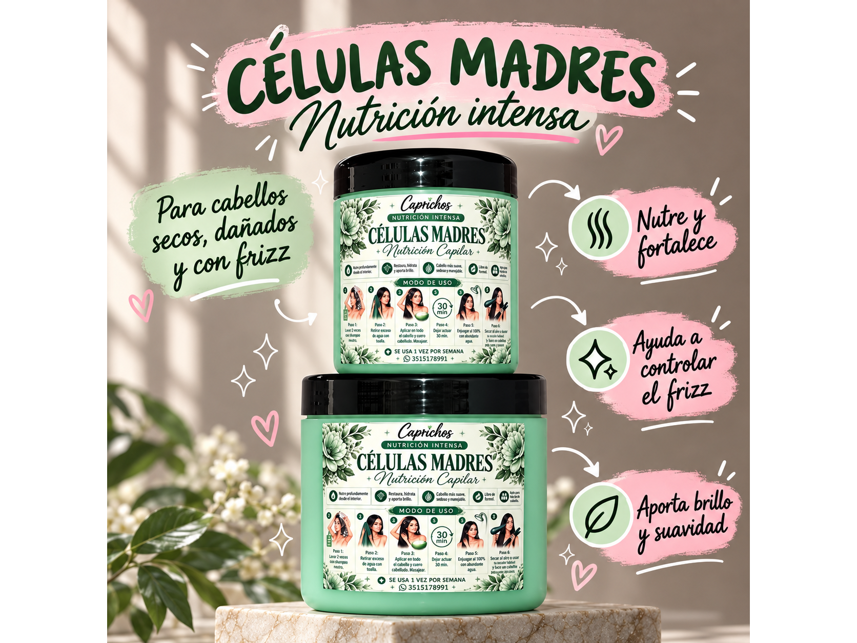 NUTRICIÓN CÉLULAS MADRES❤️😍