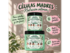 NUTRICIÓN CÉLULAS MADRES❤️😍