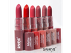 Labial matte en barra SANIYE💖