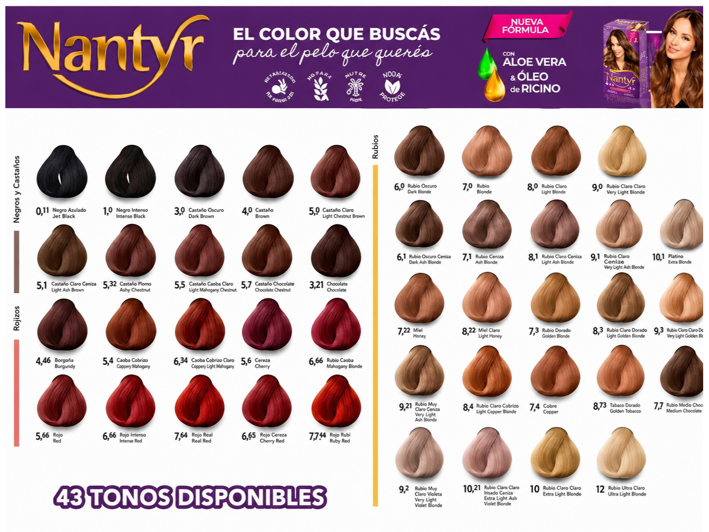 Carta de colores