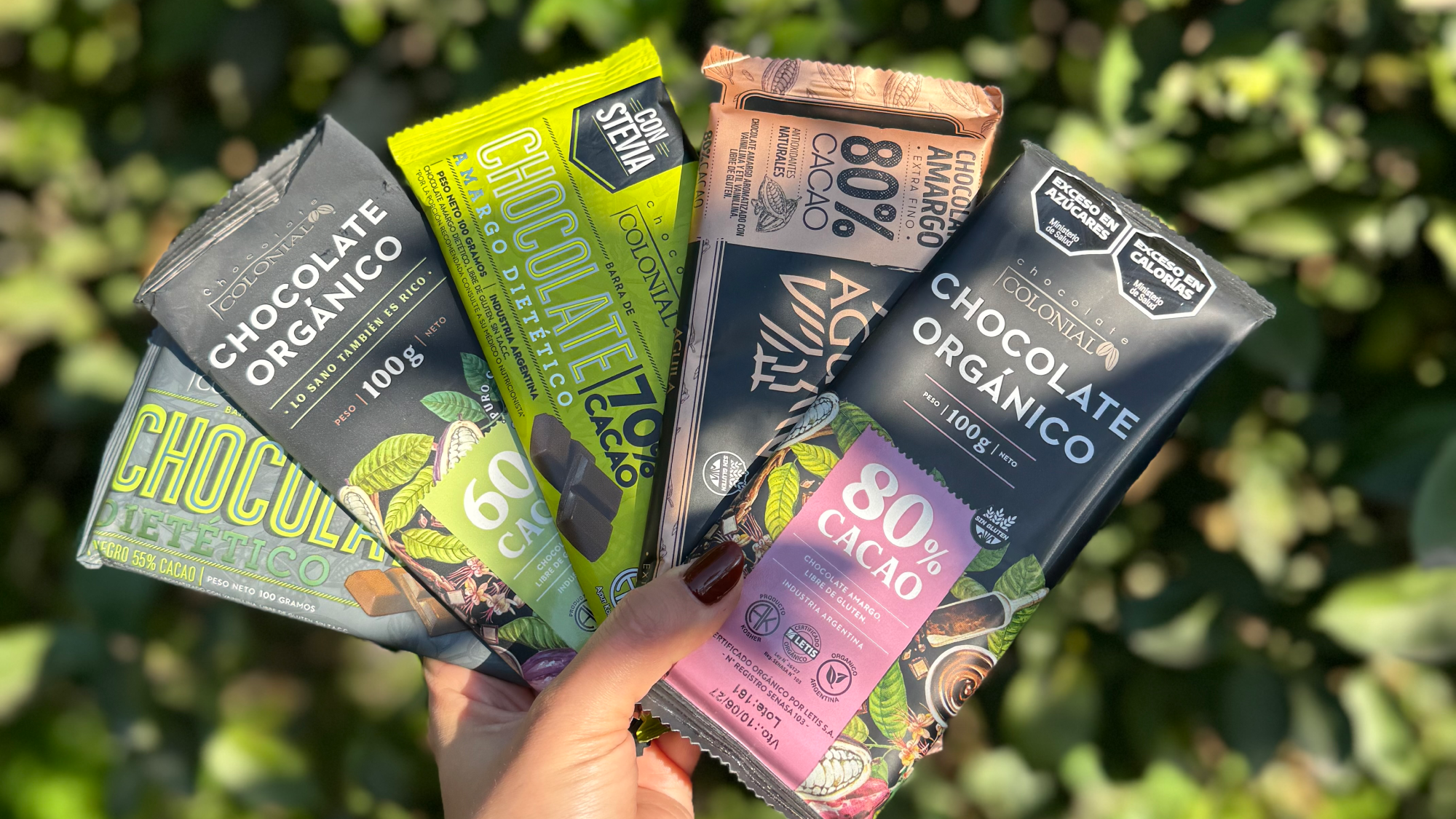 Snacks saludables
