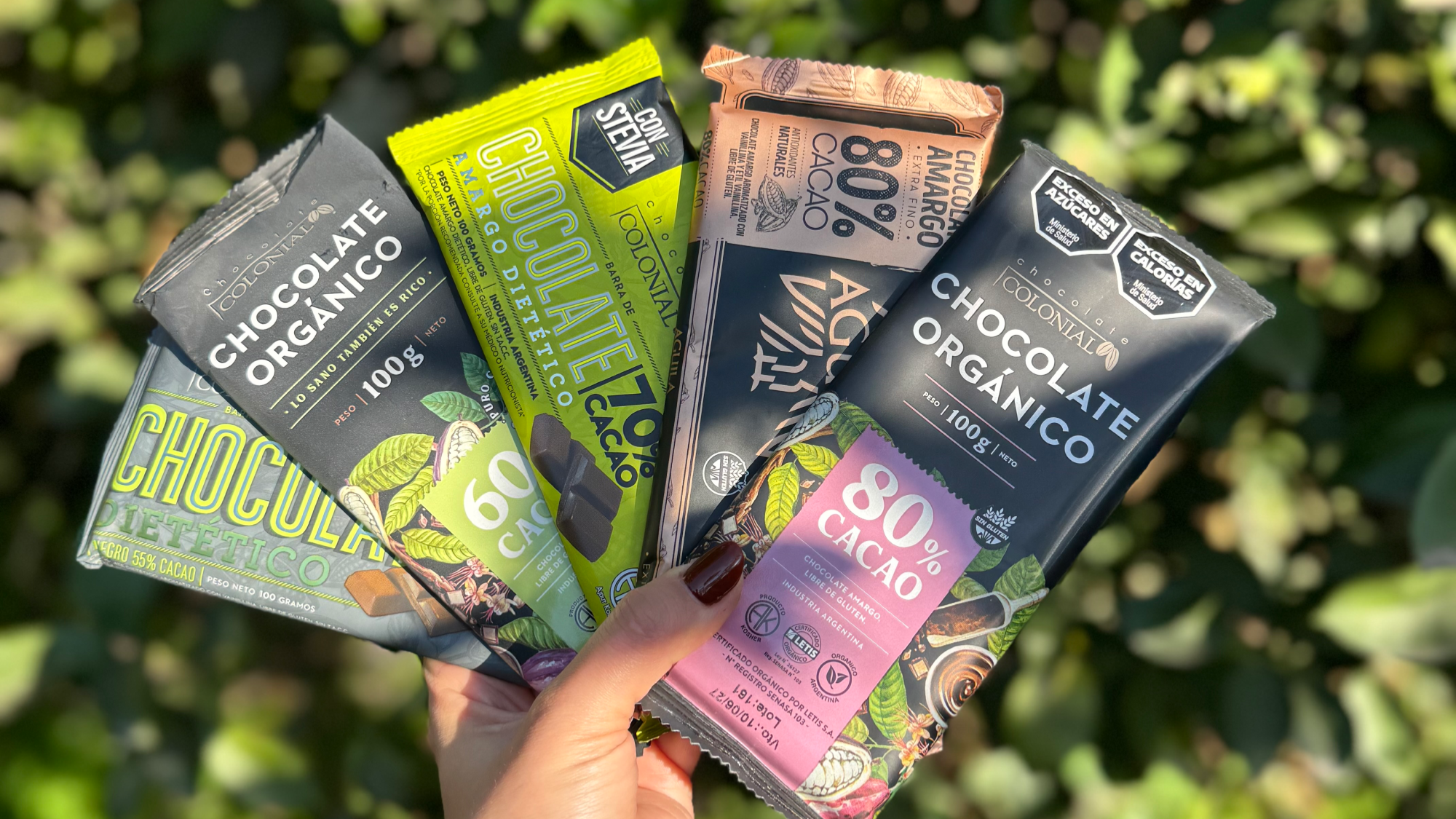 Snacks saludables